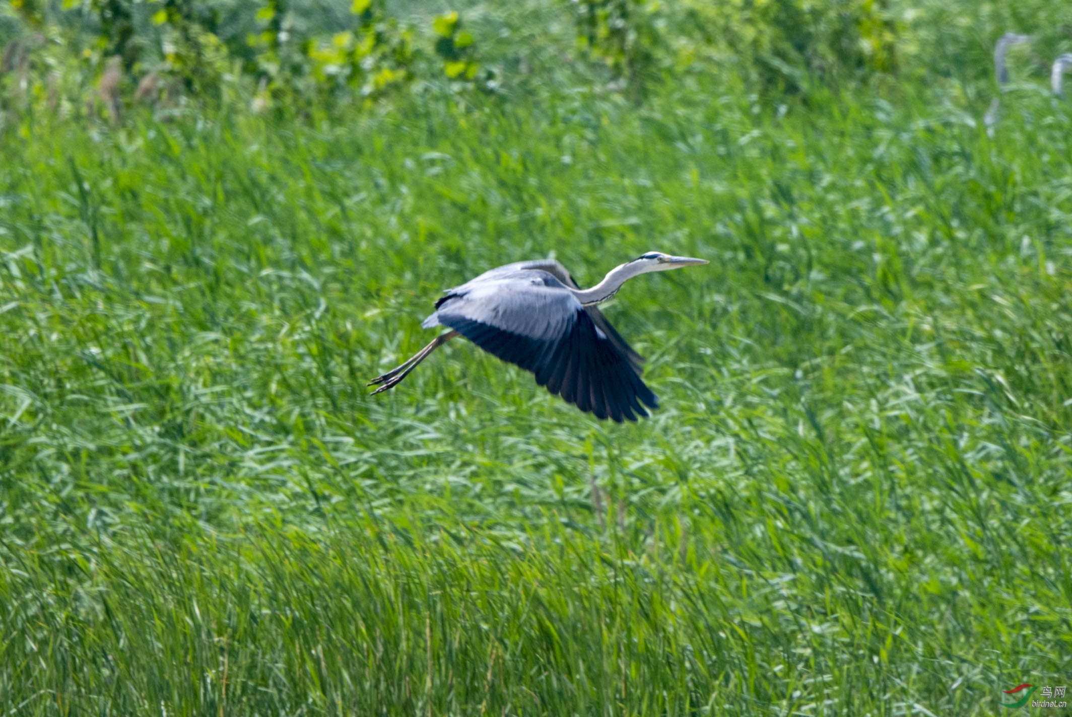 D50_6252.jpg