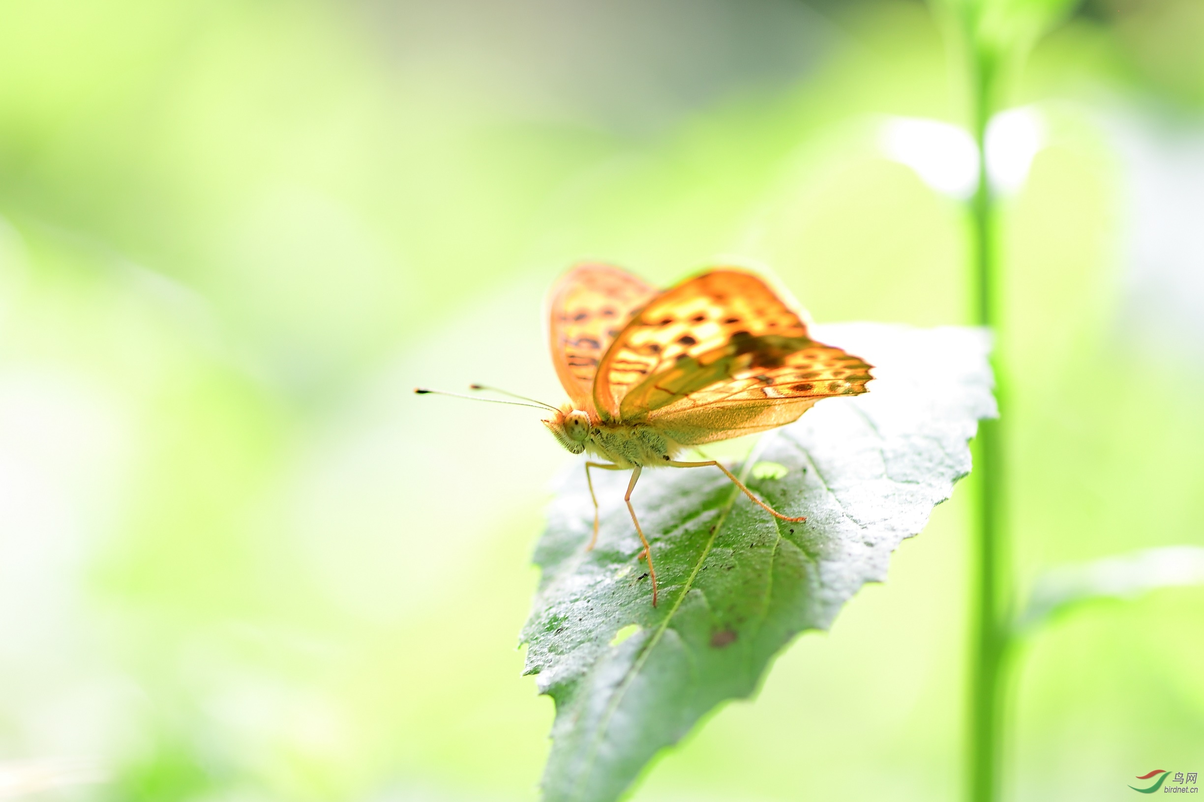 DSC_7865_00001.jpg