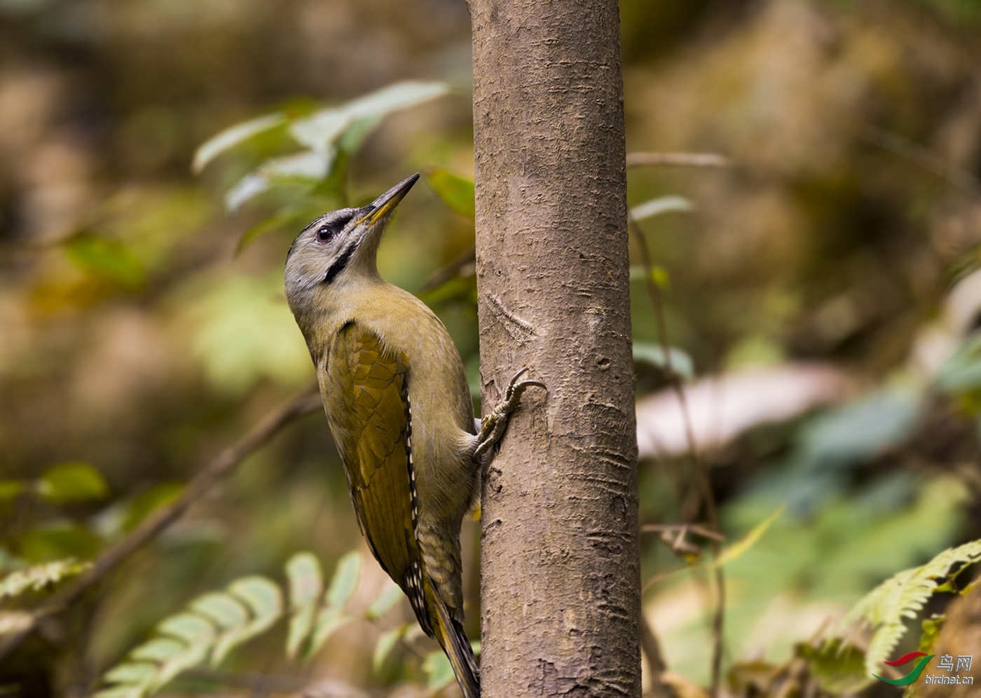 �������� ��ʦ����.jpg