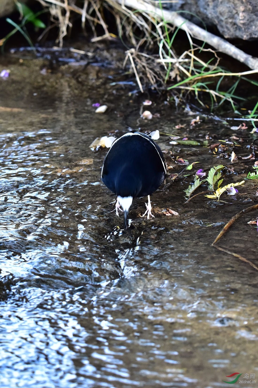 DSC_0336.JPG
