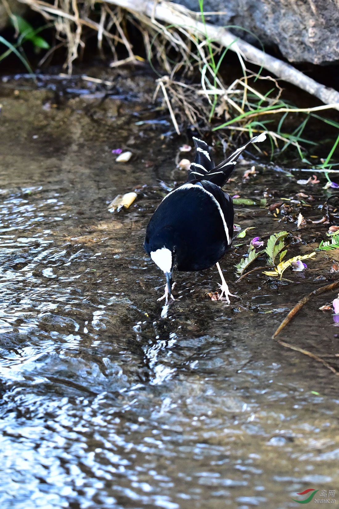 DSC_0341.JPG