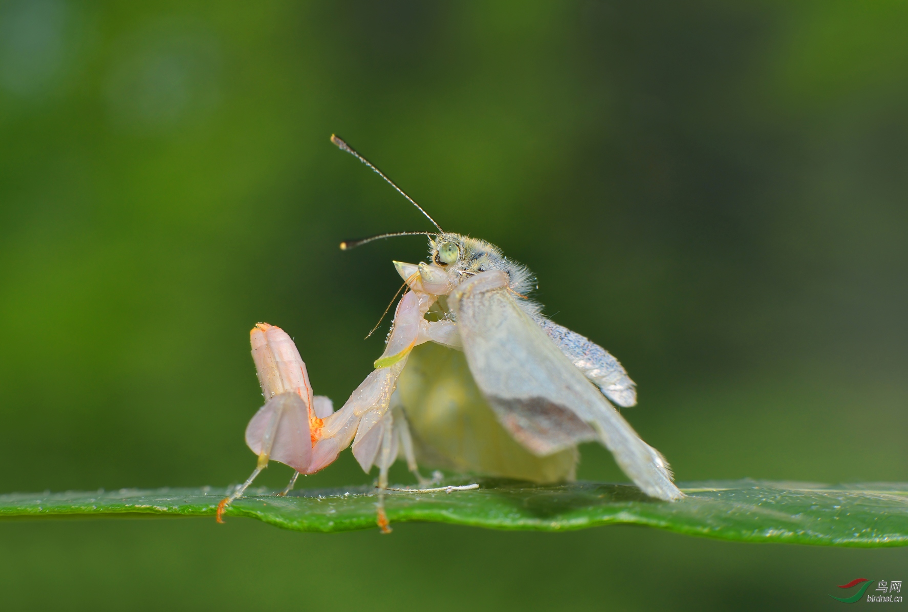 DSC_3238 ��������.jpg