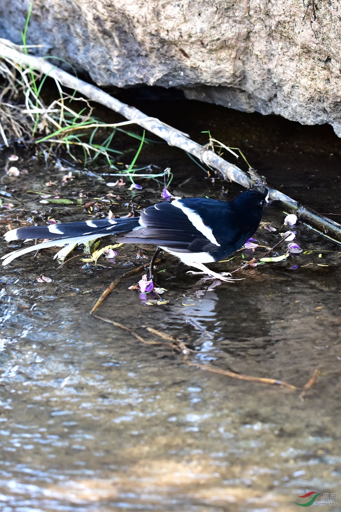 DSC_0343.JPG