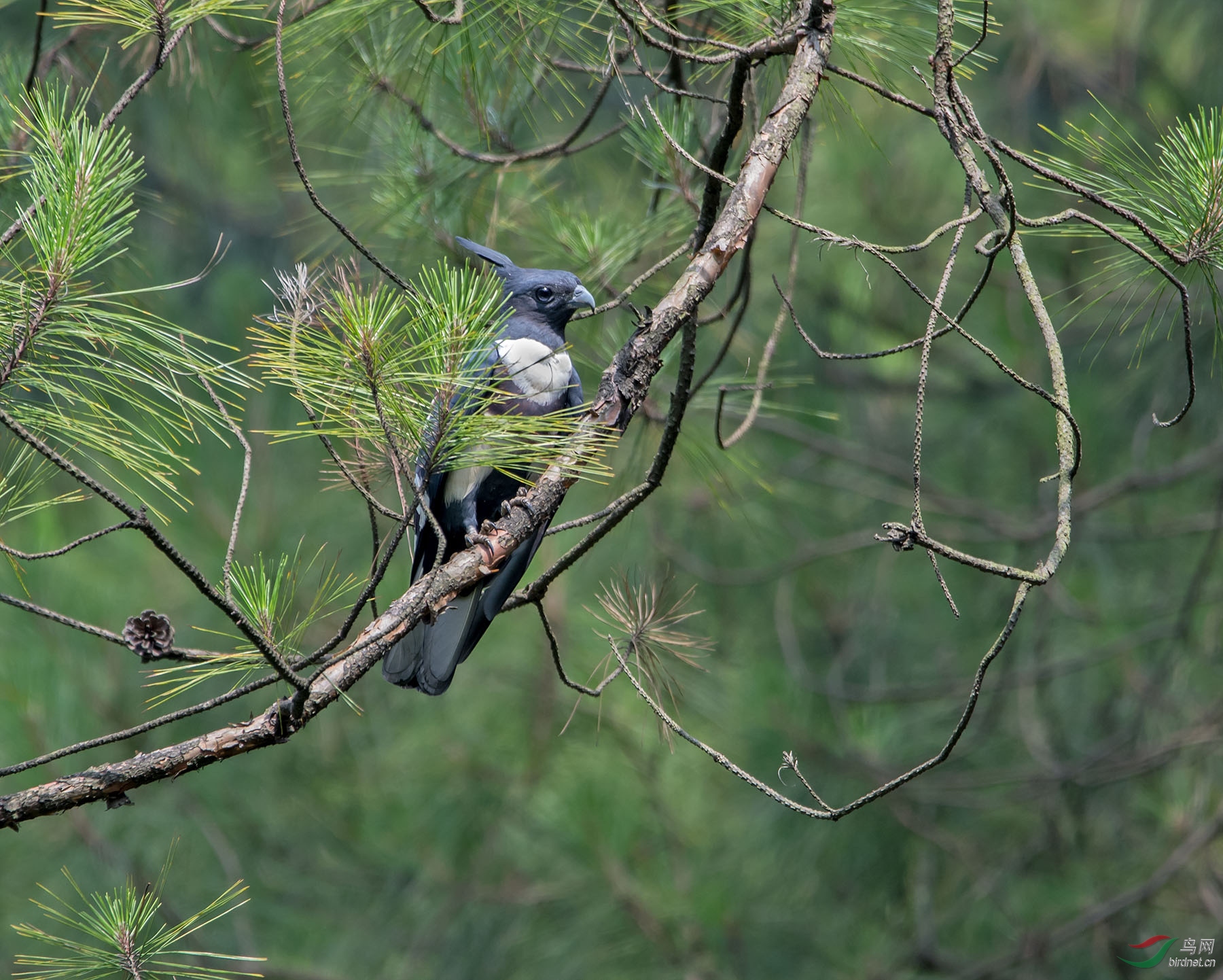 20������