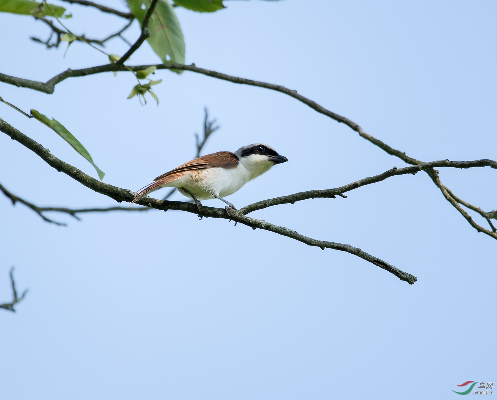 DSC_7913.jpg