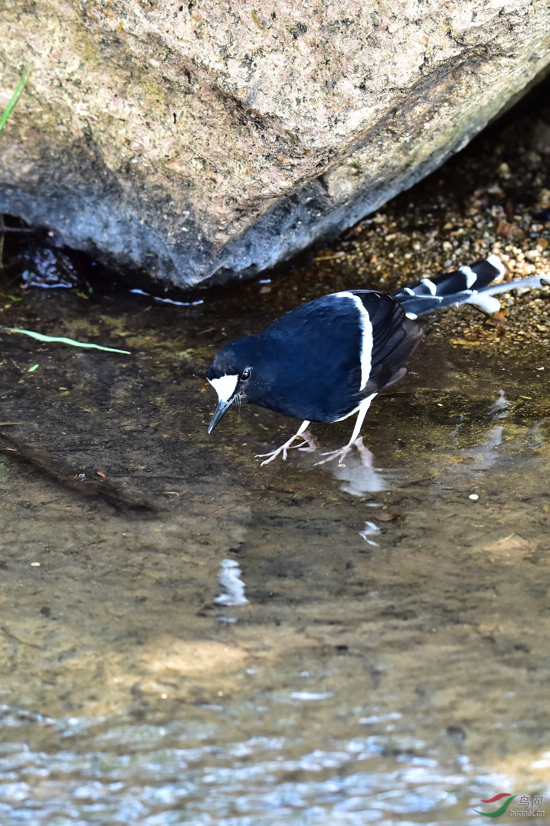 DSC_0346.JPG