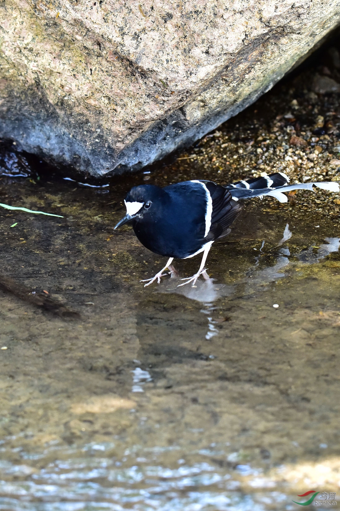 DSC_0347.JPG