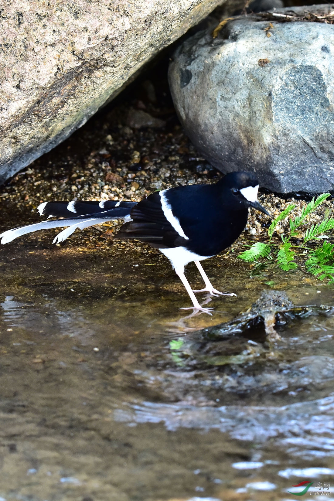 DSC_0349.JPG