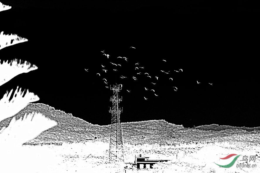 BW6I1714_����_����1_����1_����1_����.jpg