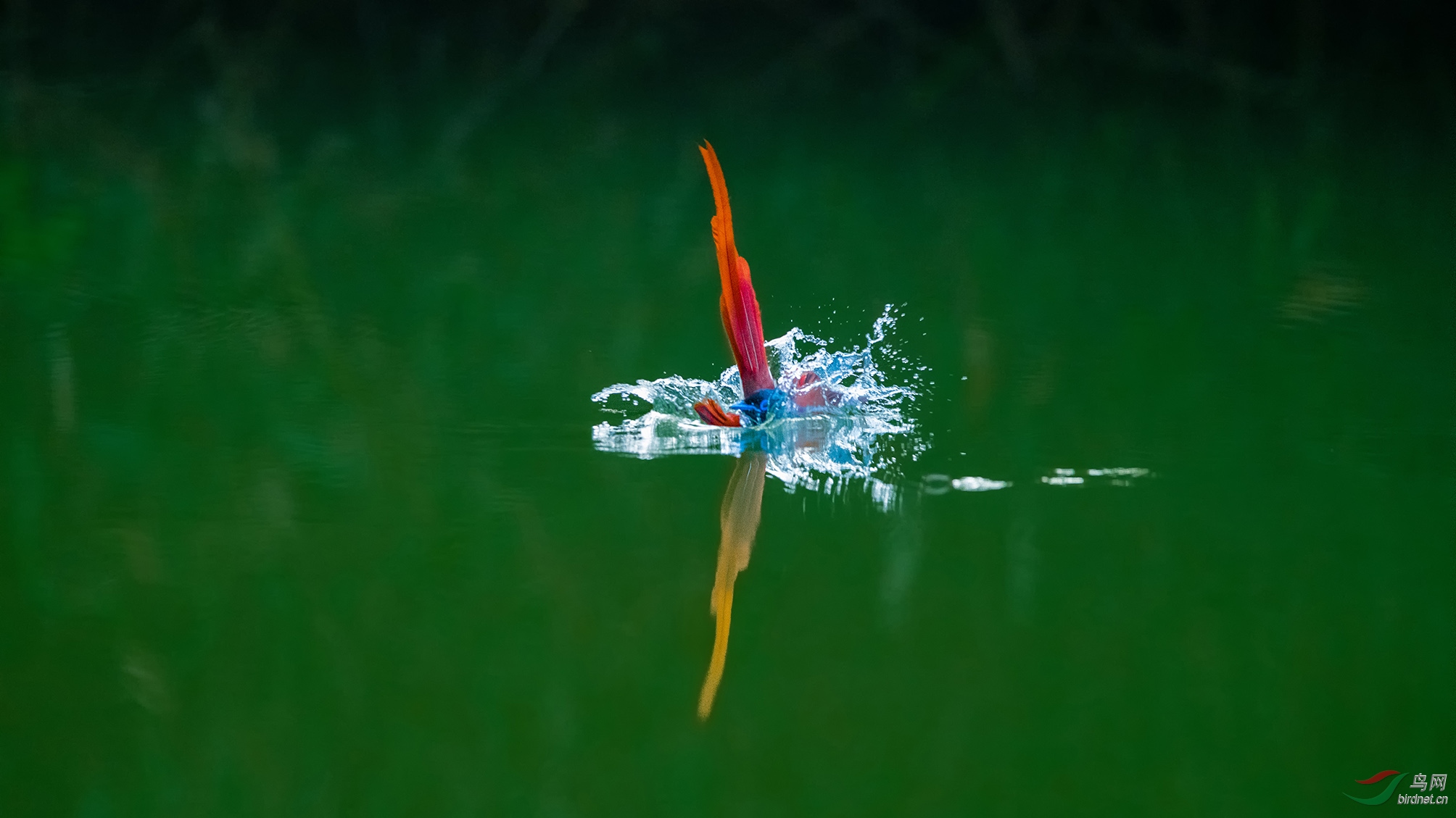 DSC_0403_������Ӱ �ϴ�.jpg