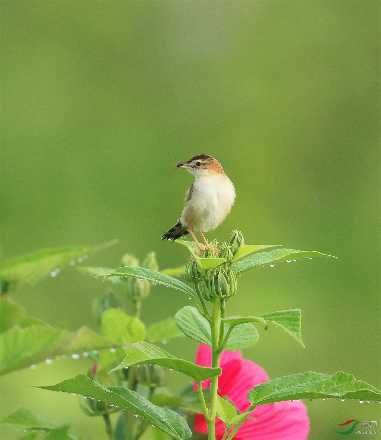 8 - ���� (2).JPG