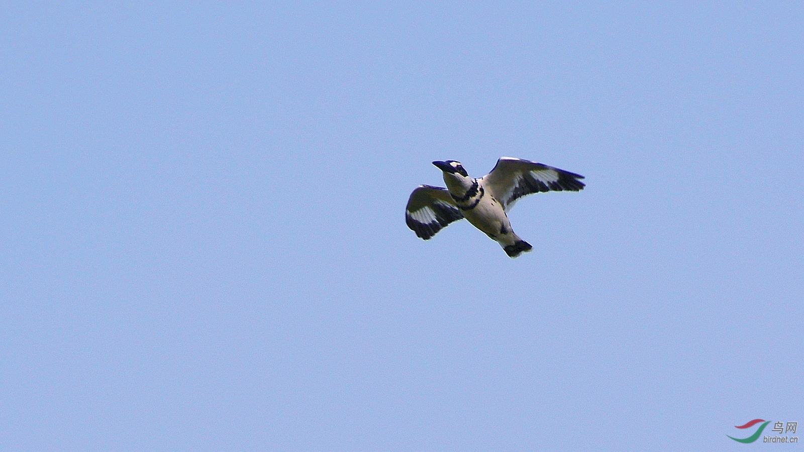 DSC_6280.JPG