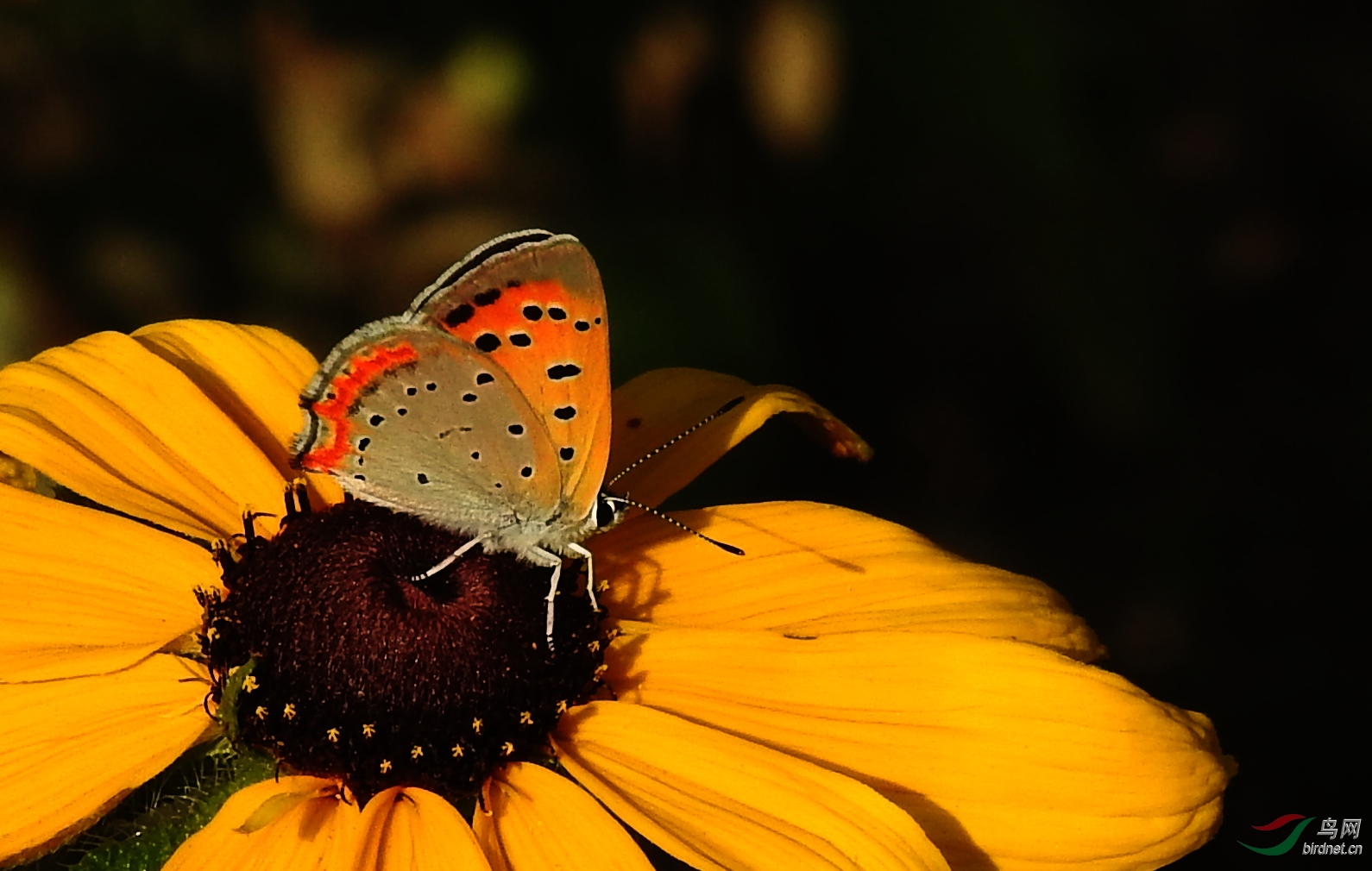 DSCN3789.JPG