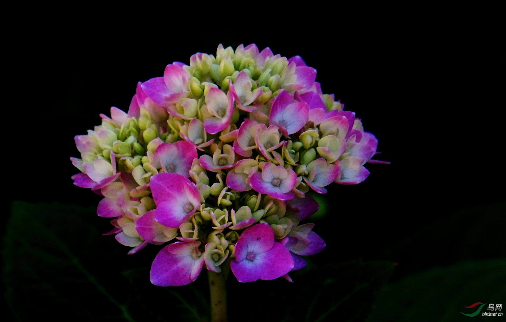 DSC08880.JPG