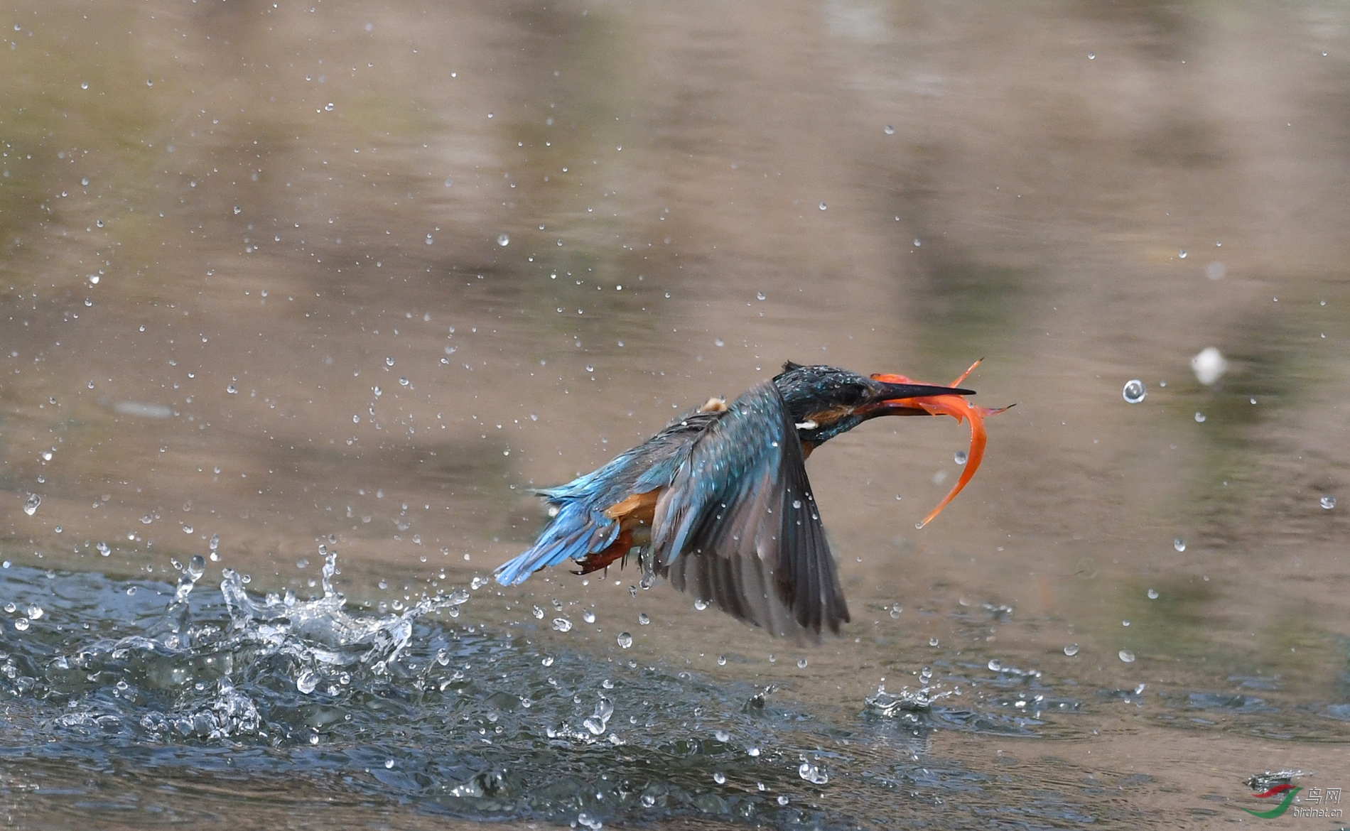 ������Ӱ 673����.jpg