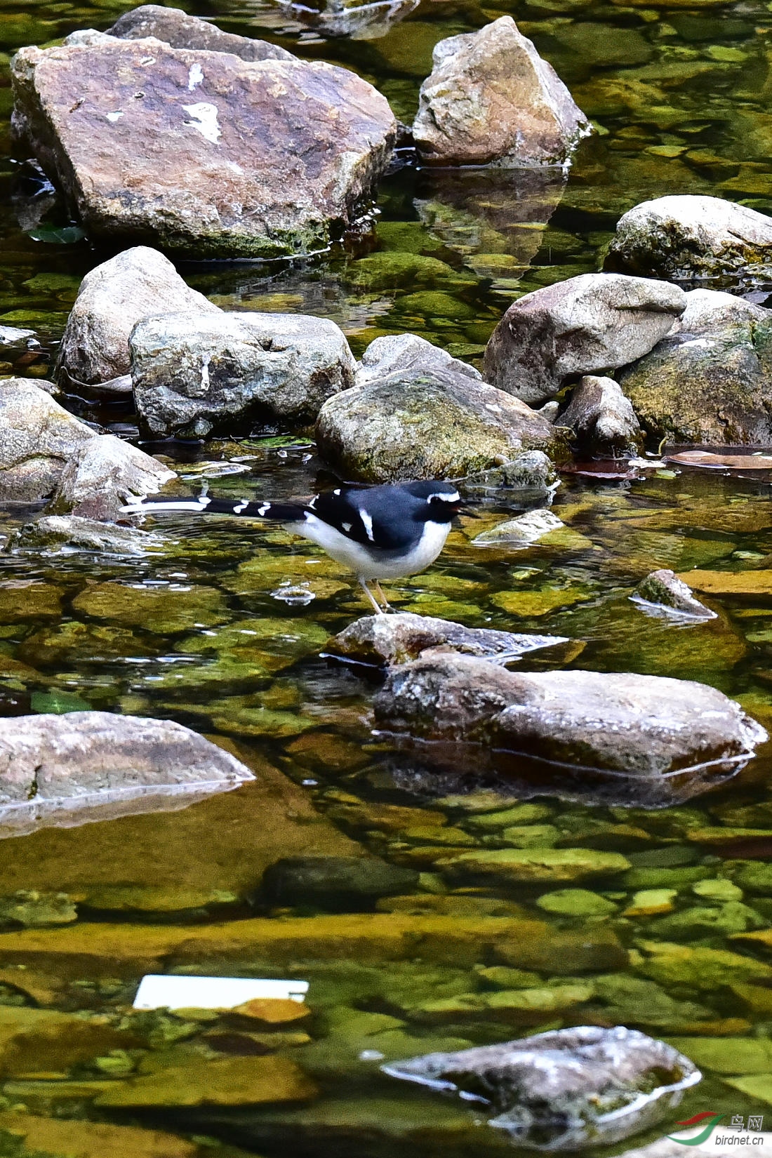 DSC_0355.JPG