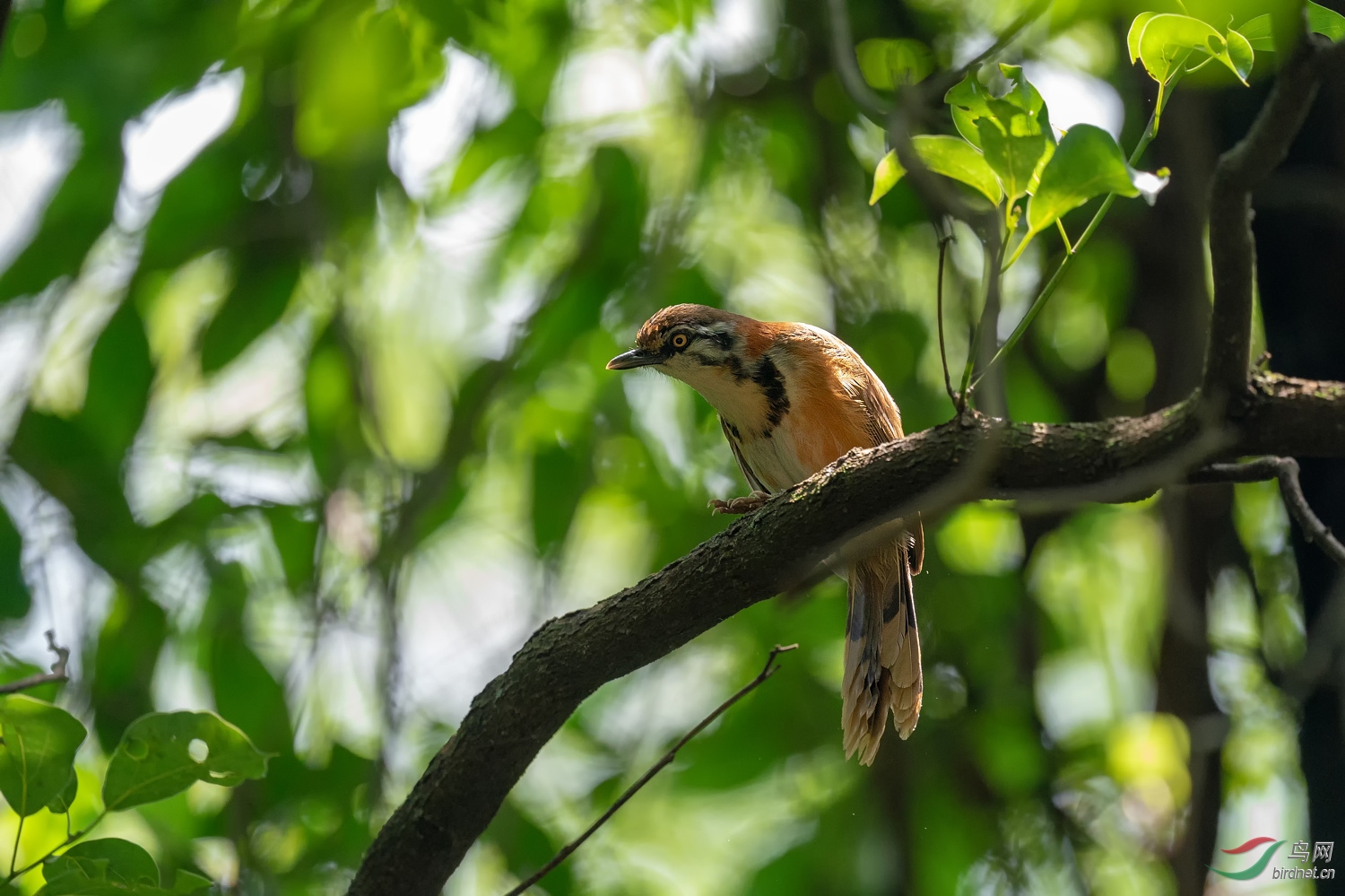 A9D06514a.jpg