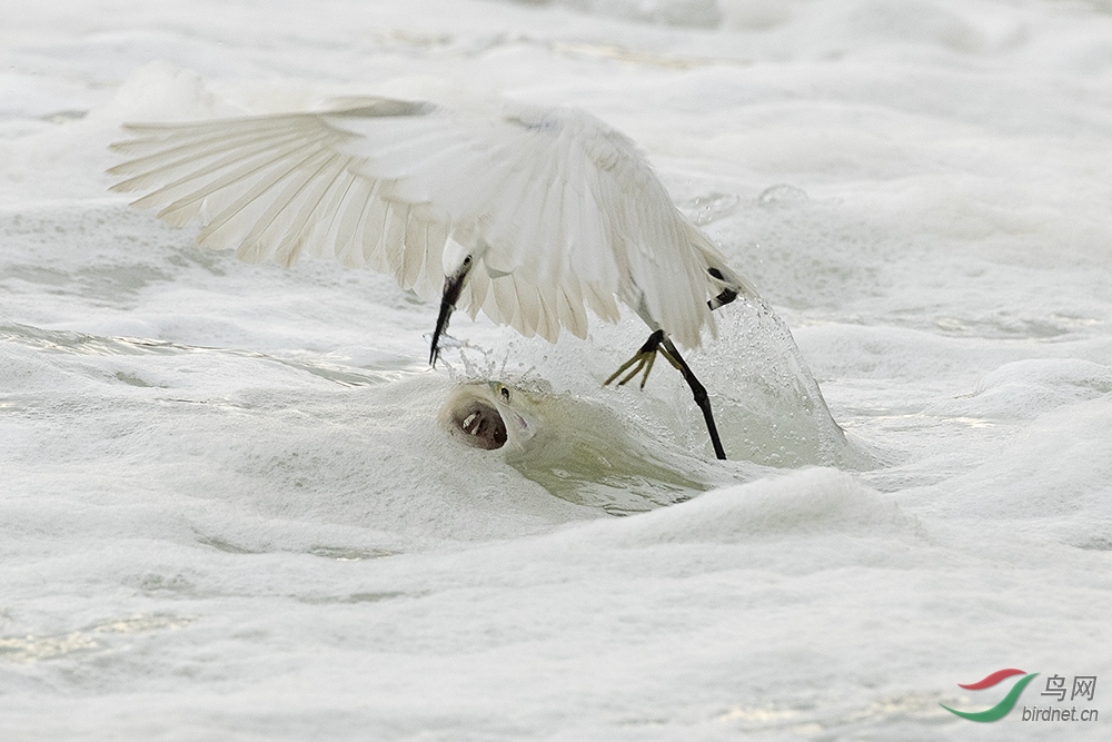 AW6I0528psѹ��.jpg