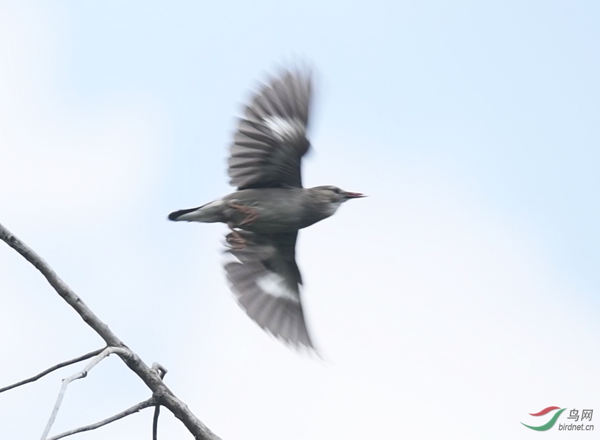 DSC_2585 00_05_22-00_05_40 00_00_12-_Moment-1-2.jpg