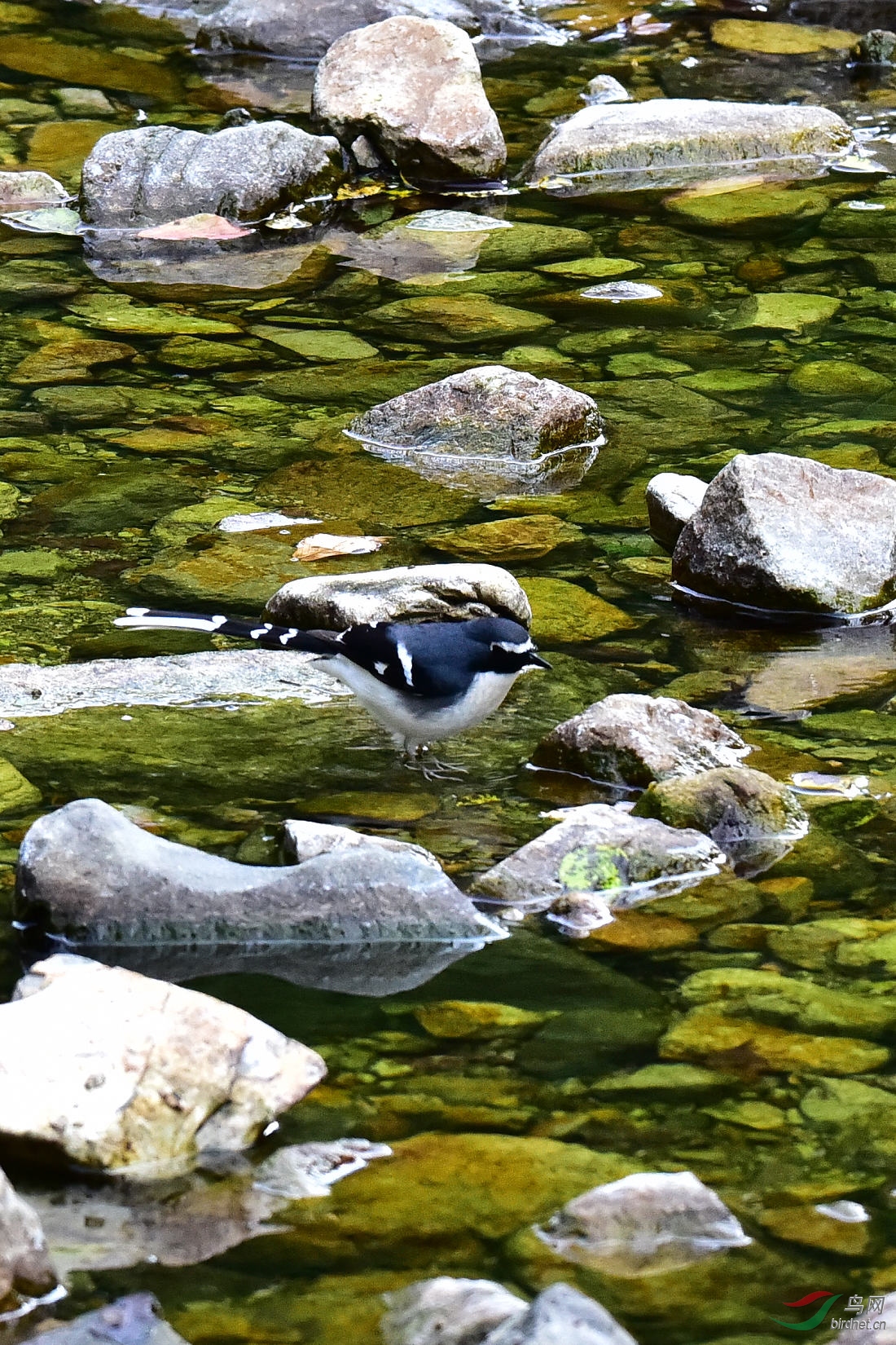 DSC_0364.JPG
