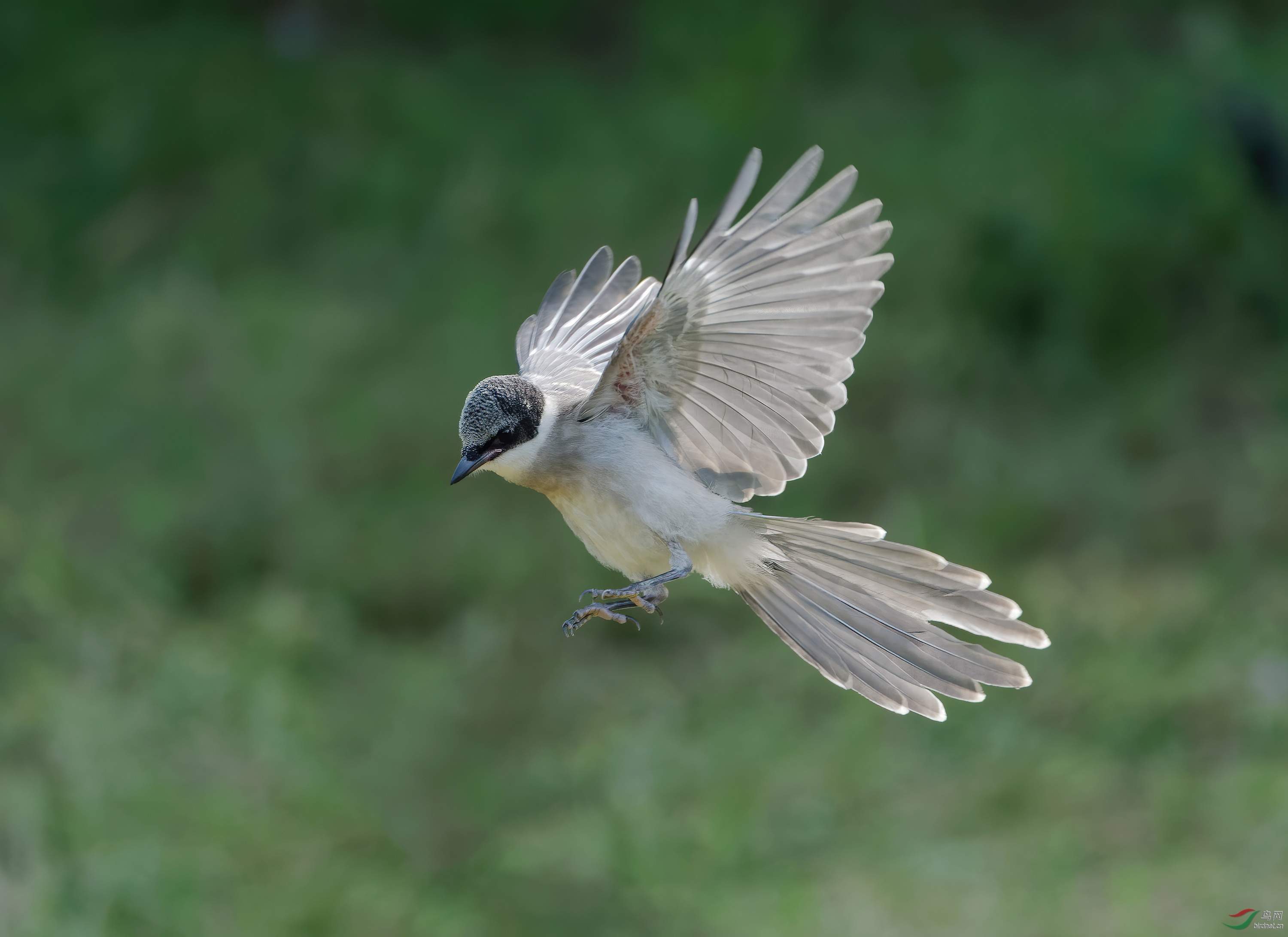 DSC_2601.jpg