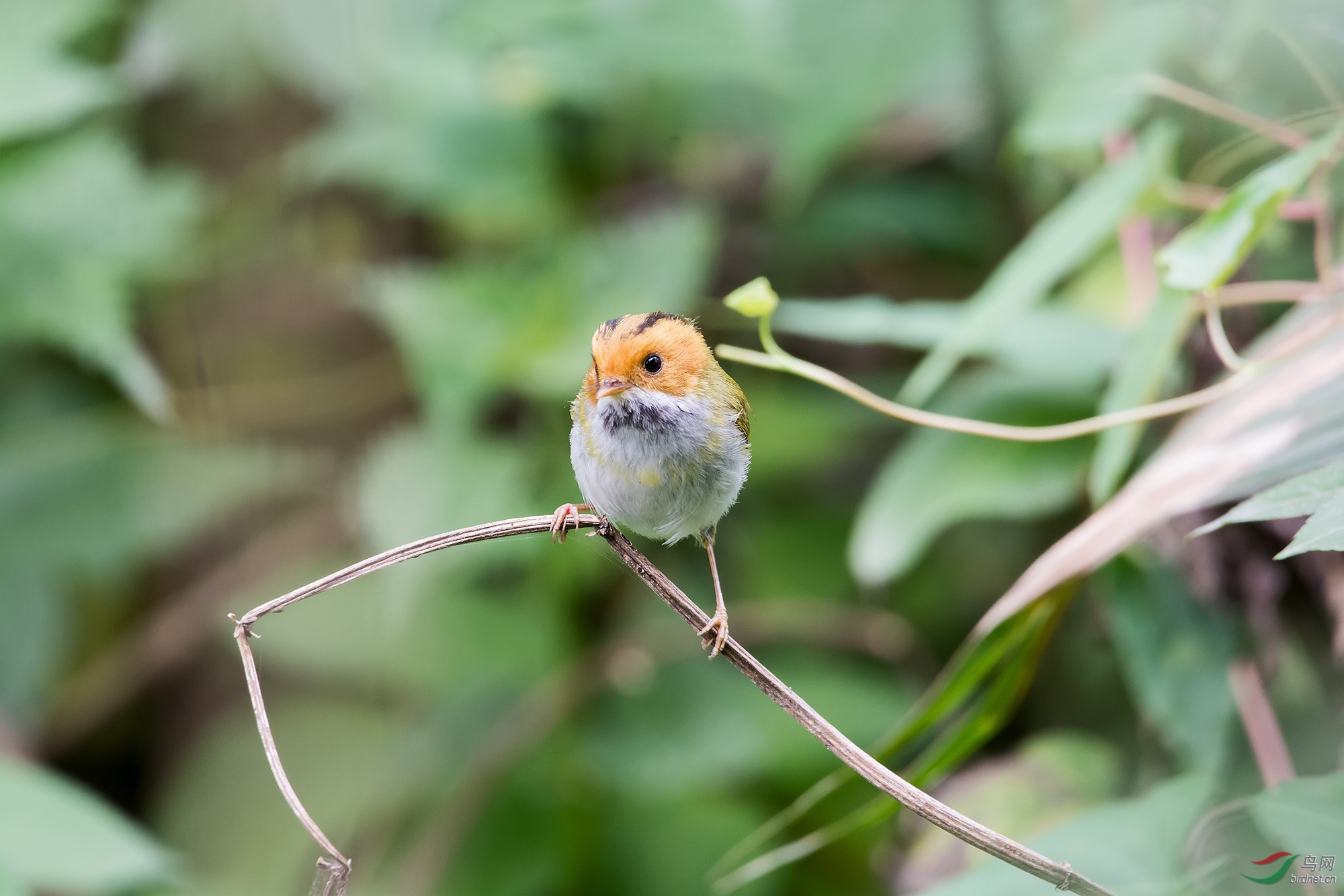 DSC_5549.jpg
