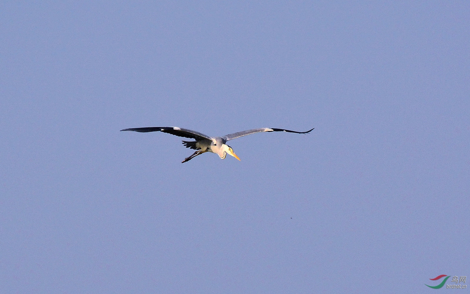 DSC_7145.JPG
