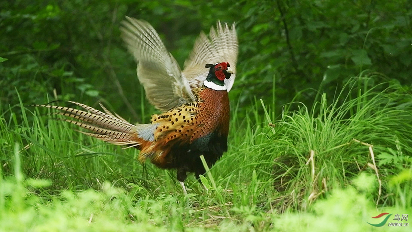 DSC_7567 00_02_02-00_02_16_Moment-04-1-p-1.jpg