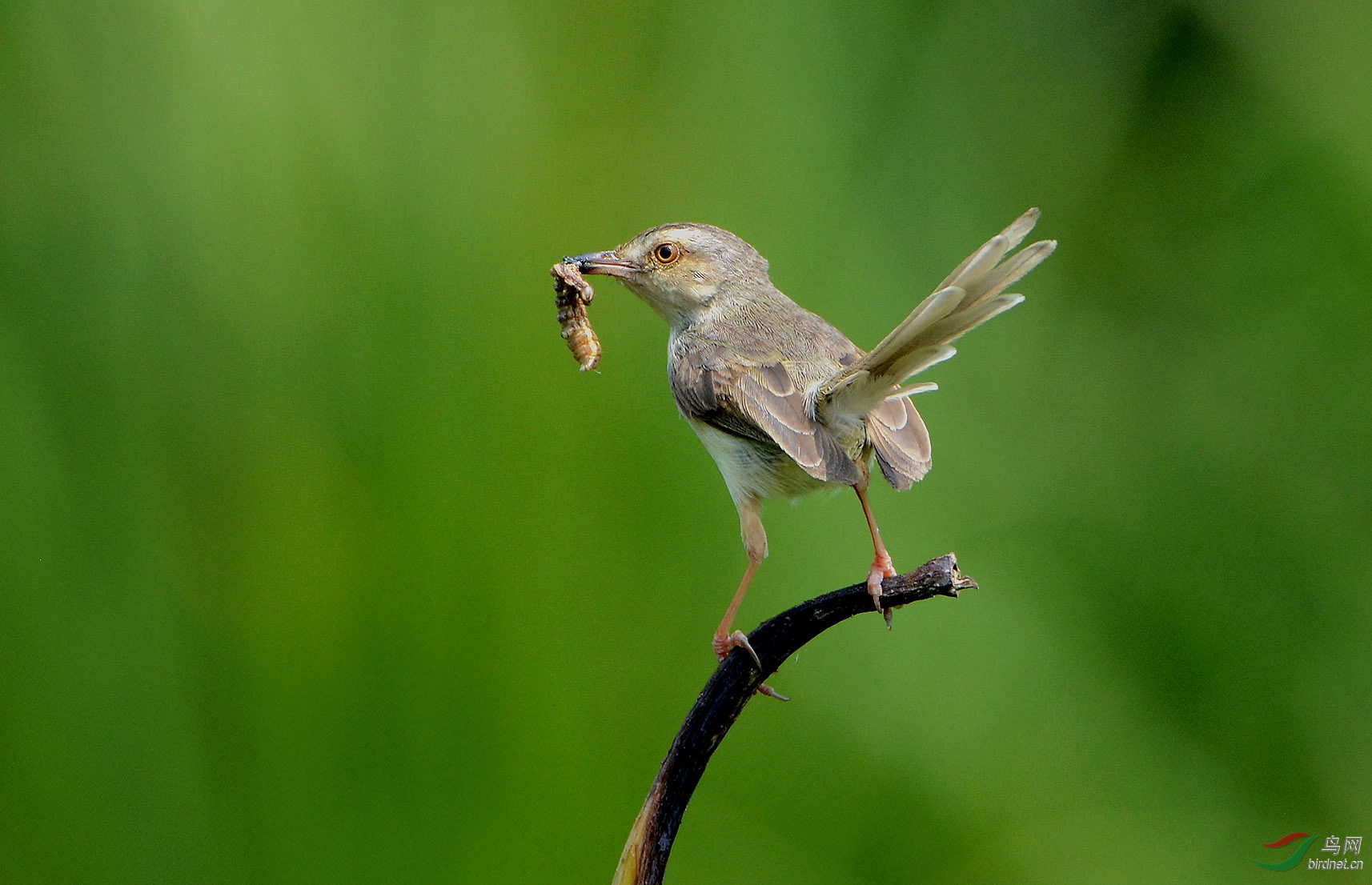 DSC_2727.JPG