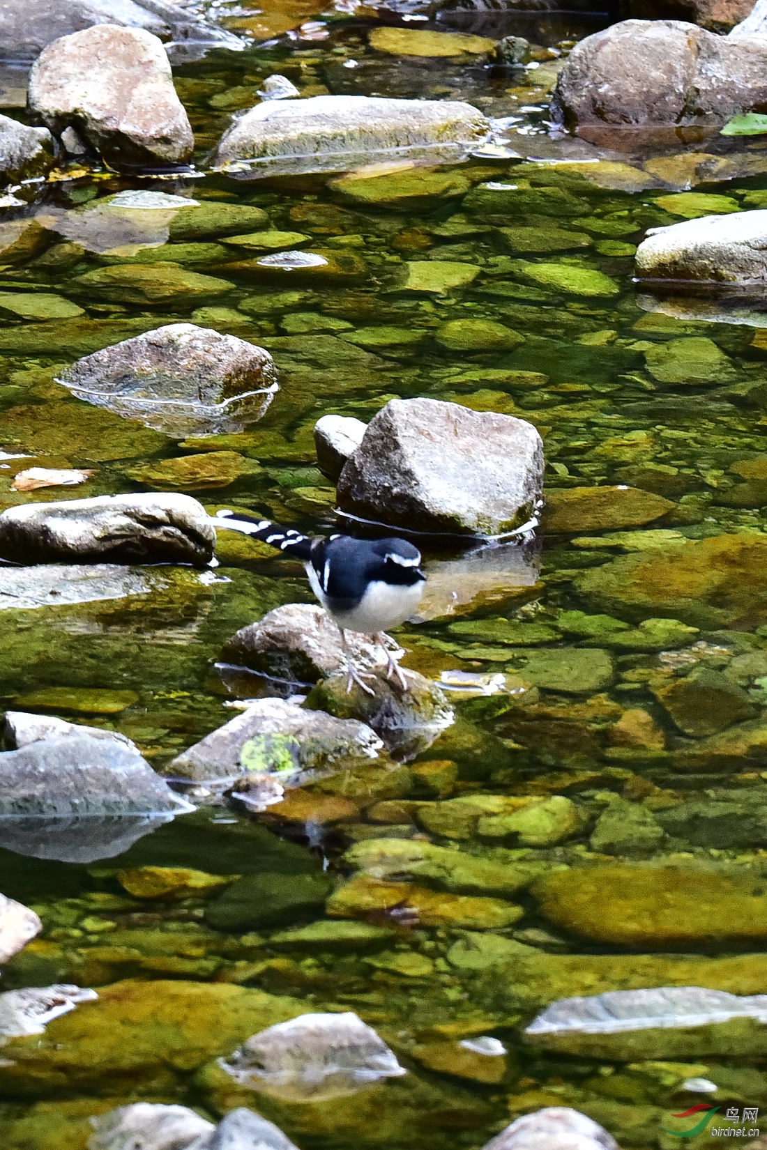 DSC_0365.JPG
