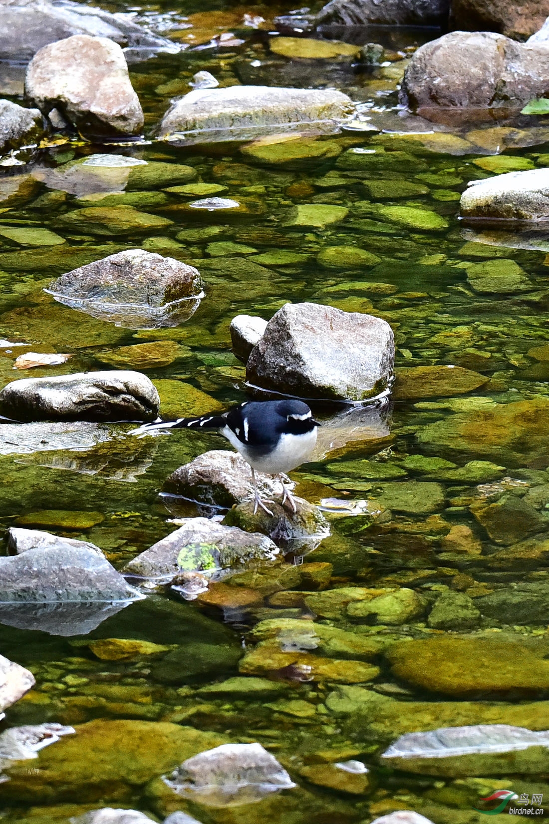 DSC_0366.JPG
