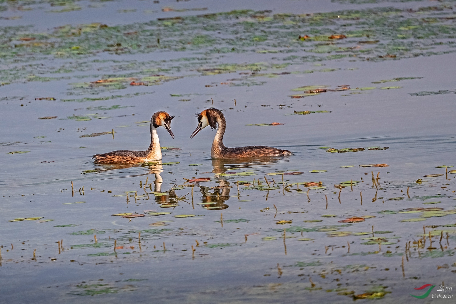 DSC_2848-2.jpg