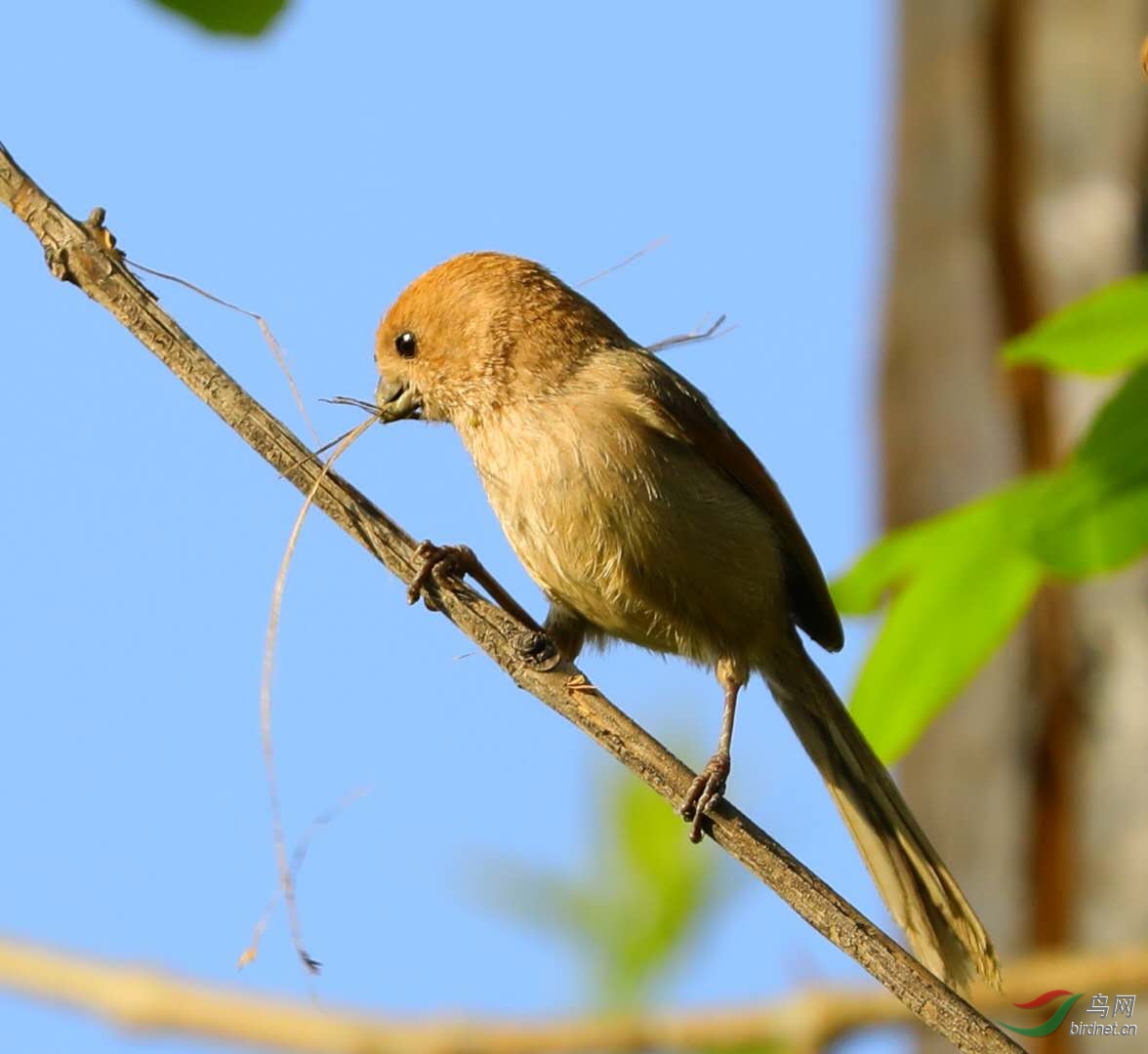 寰 俊锲剧墖_20200628173217.jpg