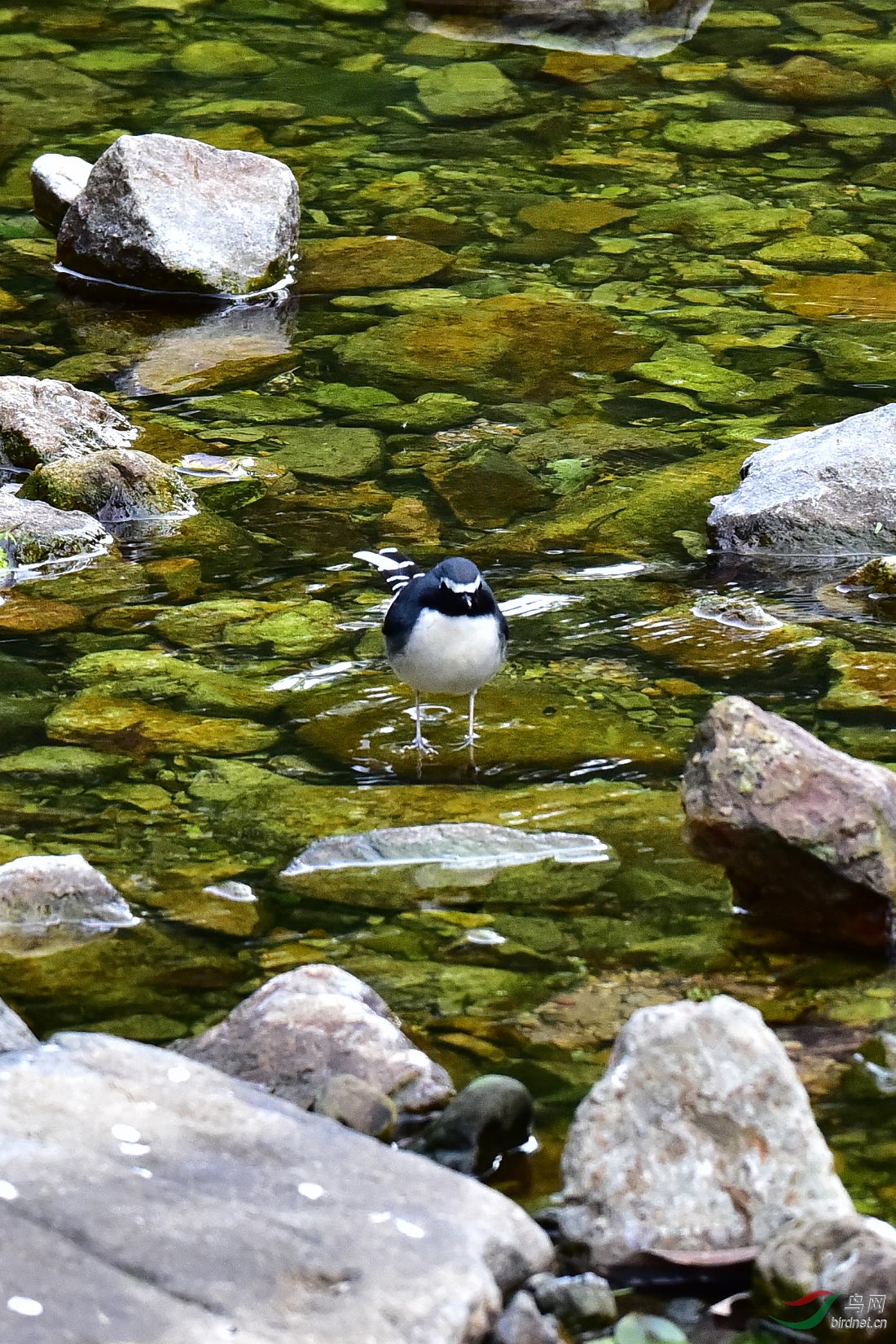 DSC_0367.JPG