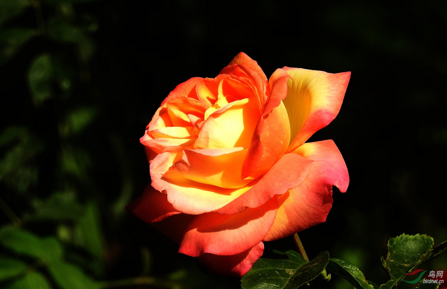 DSCN2353.JPG