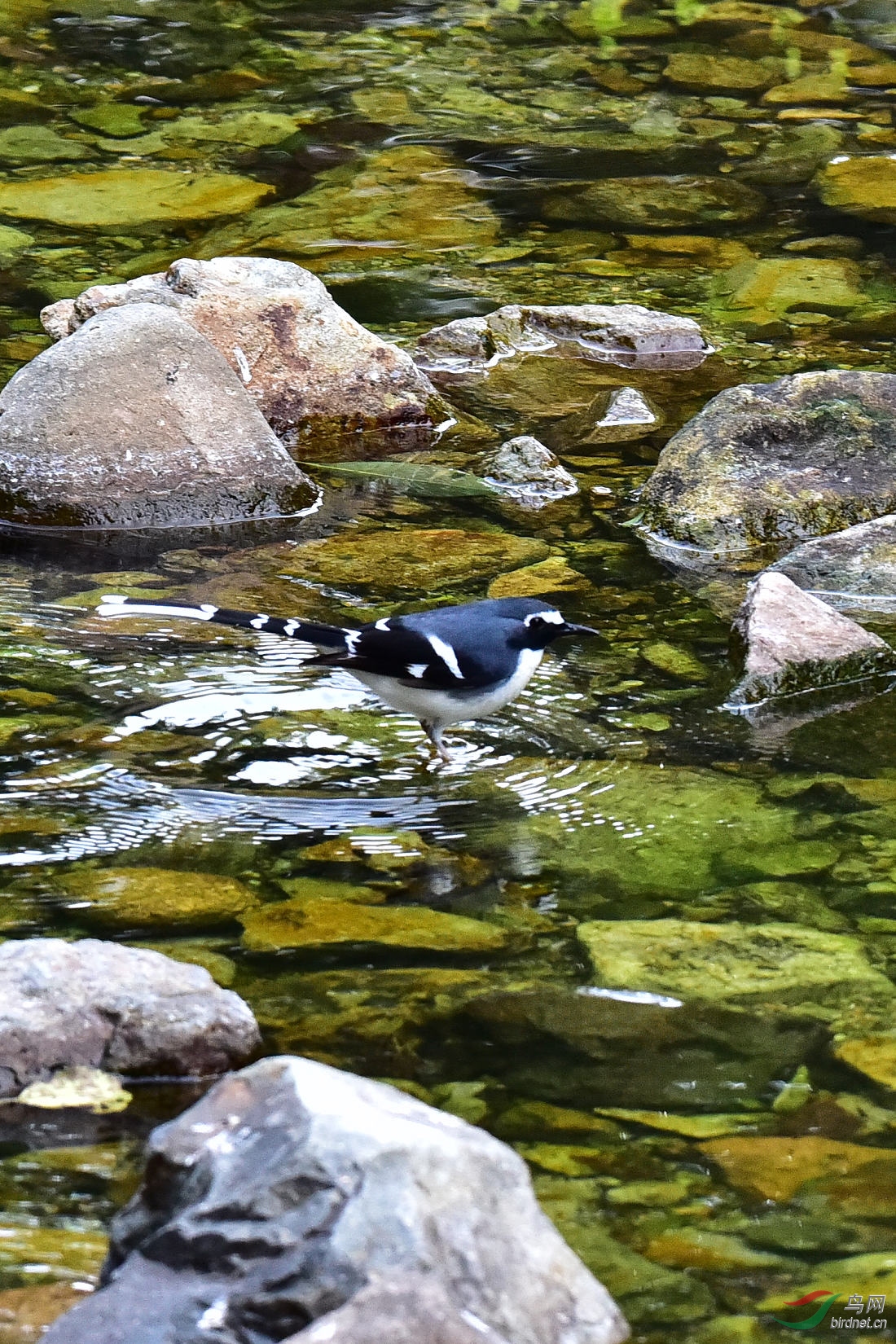 DSC_0370.JPG