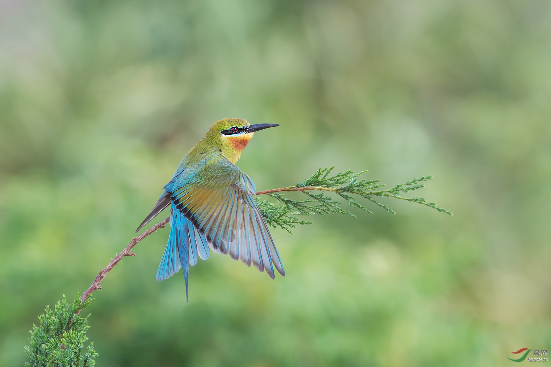 DSC_2224.jpg