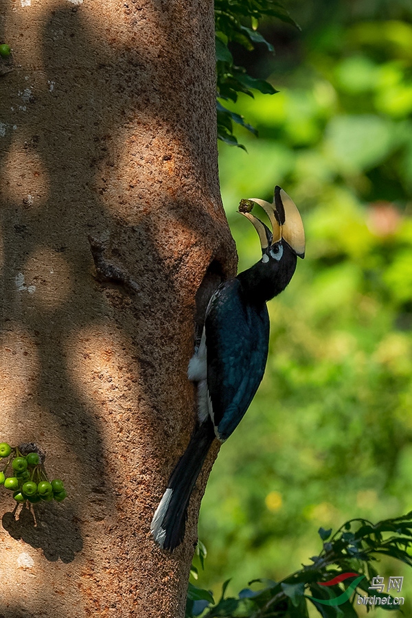 DSC_1051_DxOa.jpg