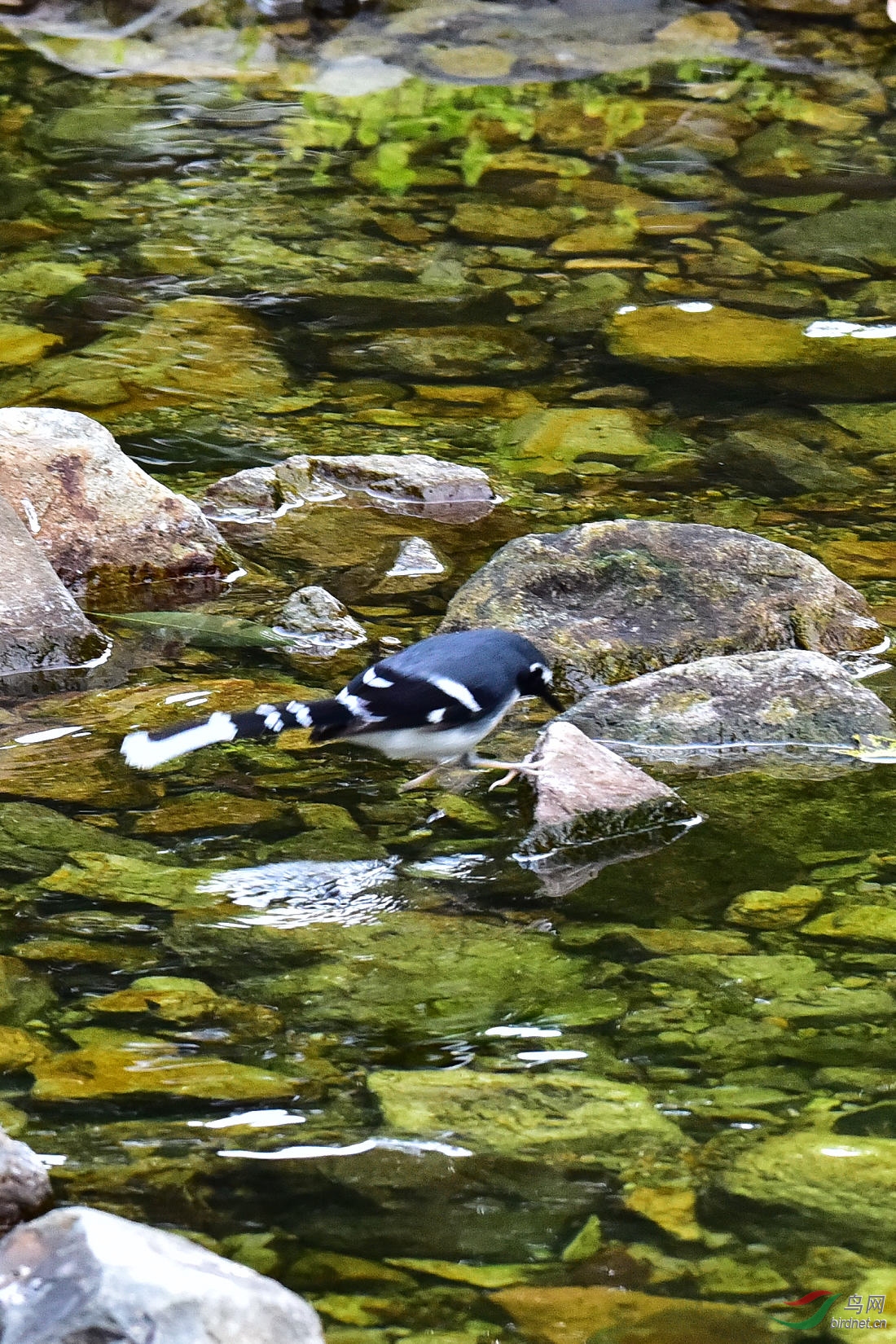 DSC_0371.JPG
