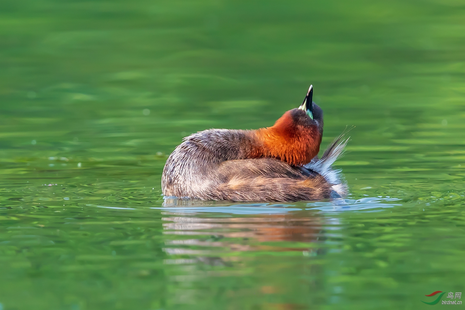 1DX_1357-1.jpg