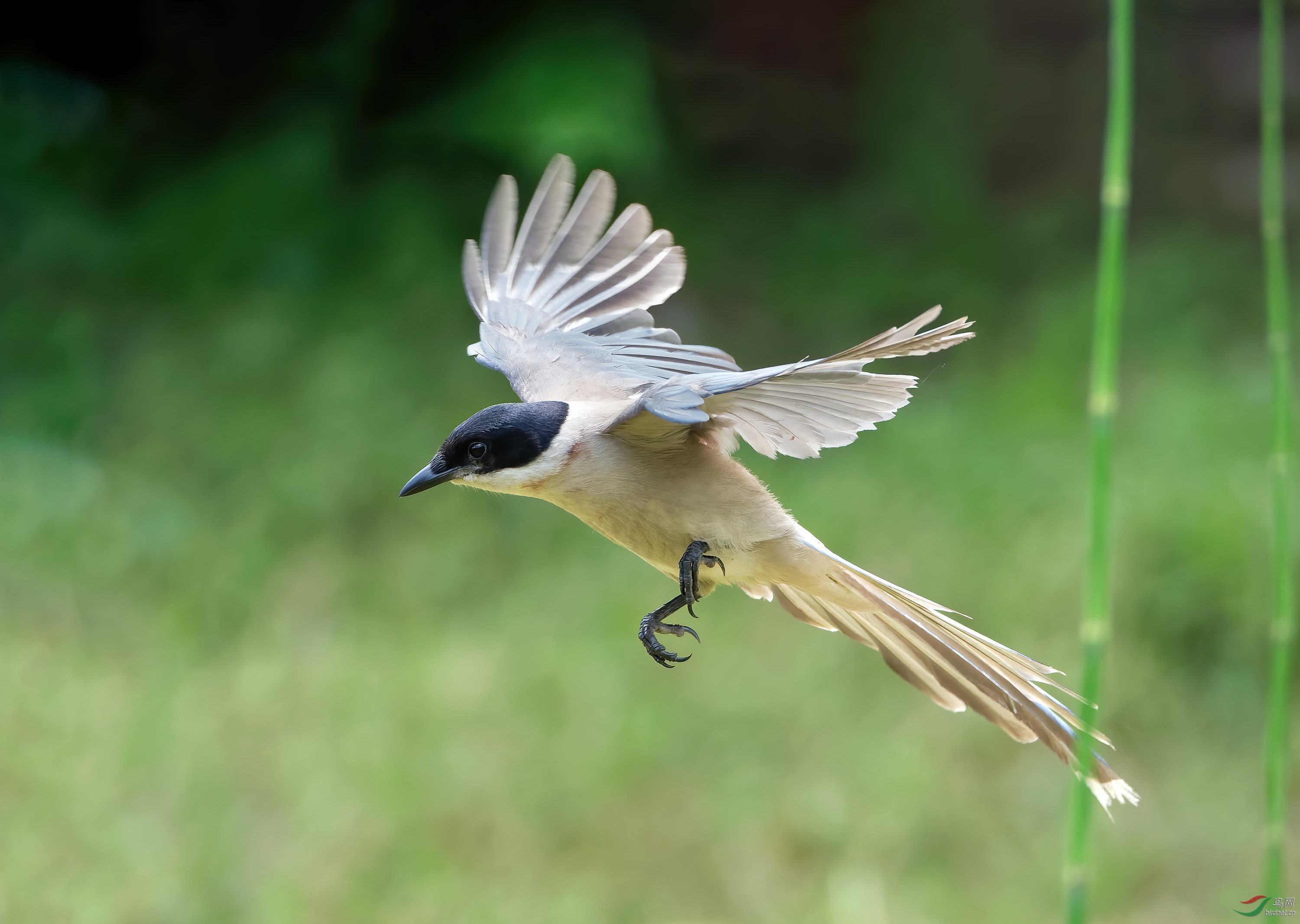 DSC_2259.jpg