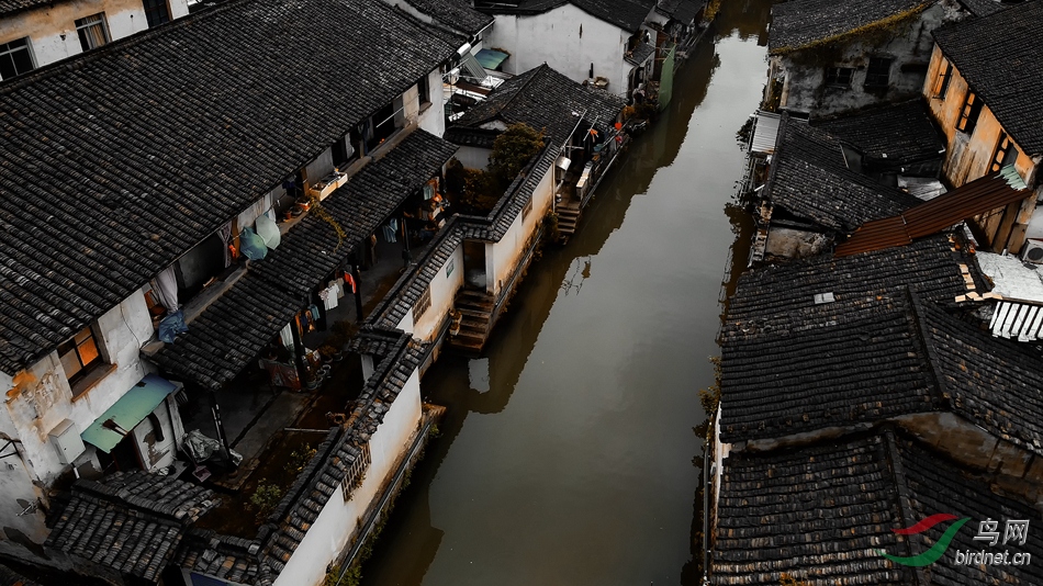 DJI_0473_����.jpg