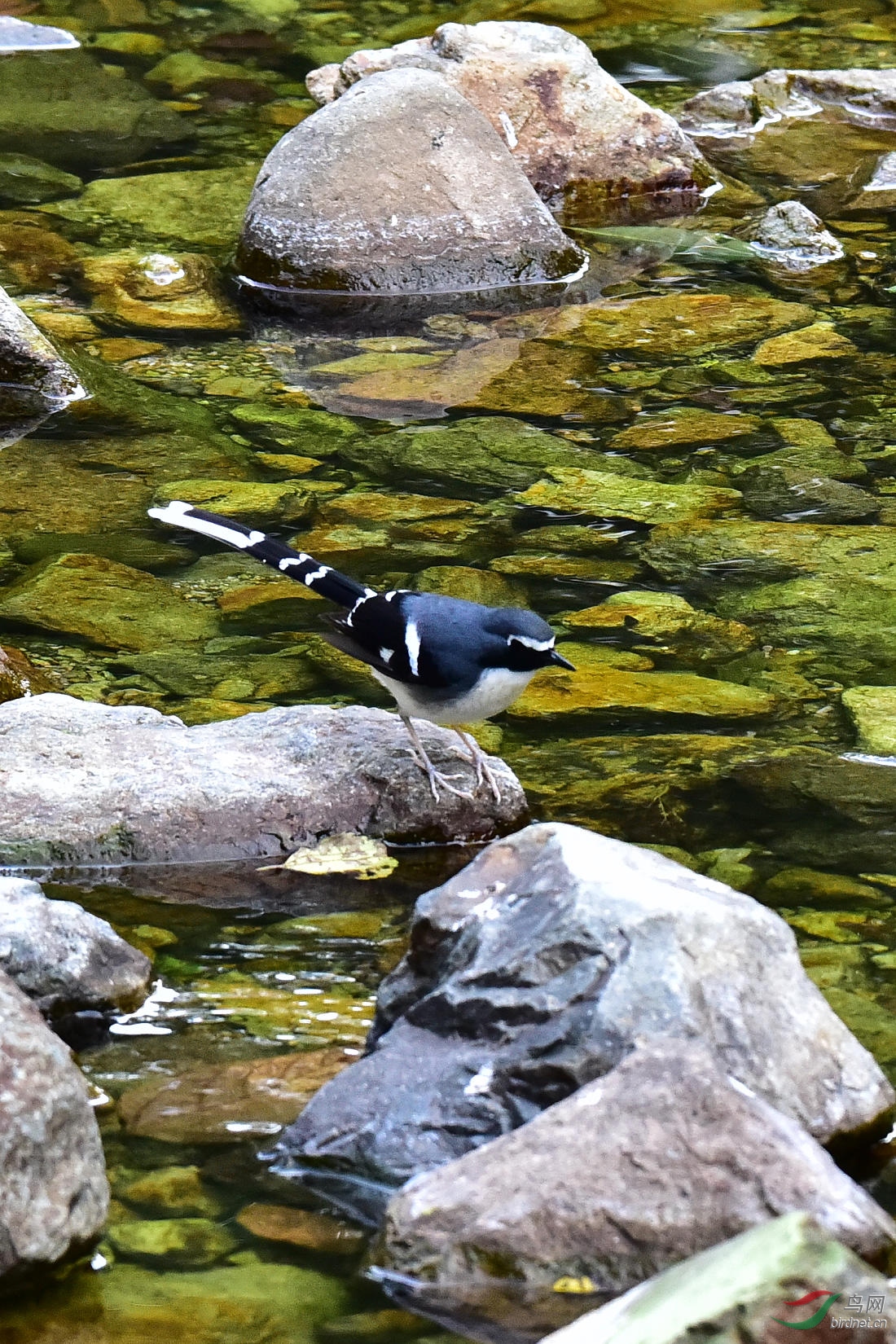 DSC_0373.JPG