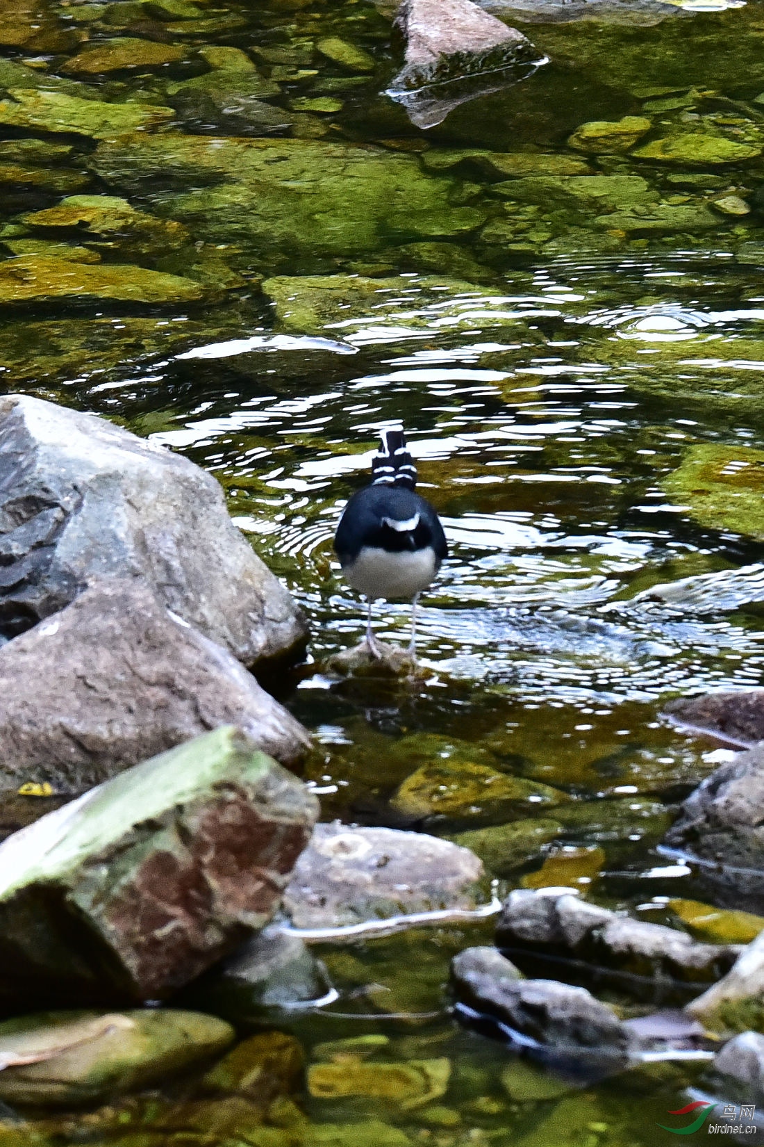 DSC_0376.JPG