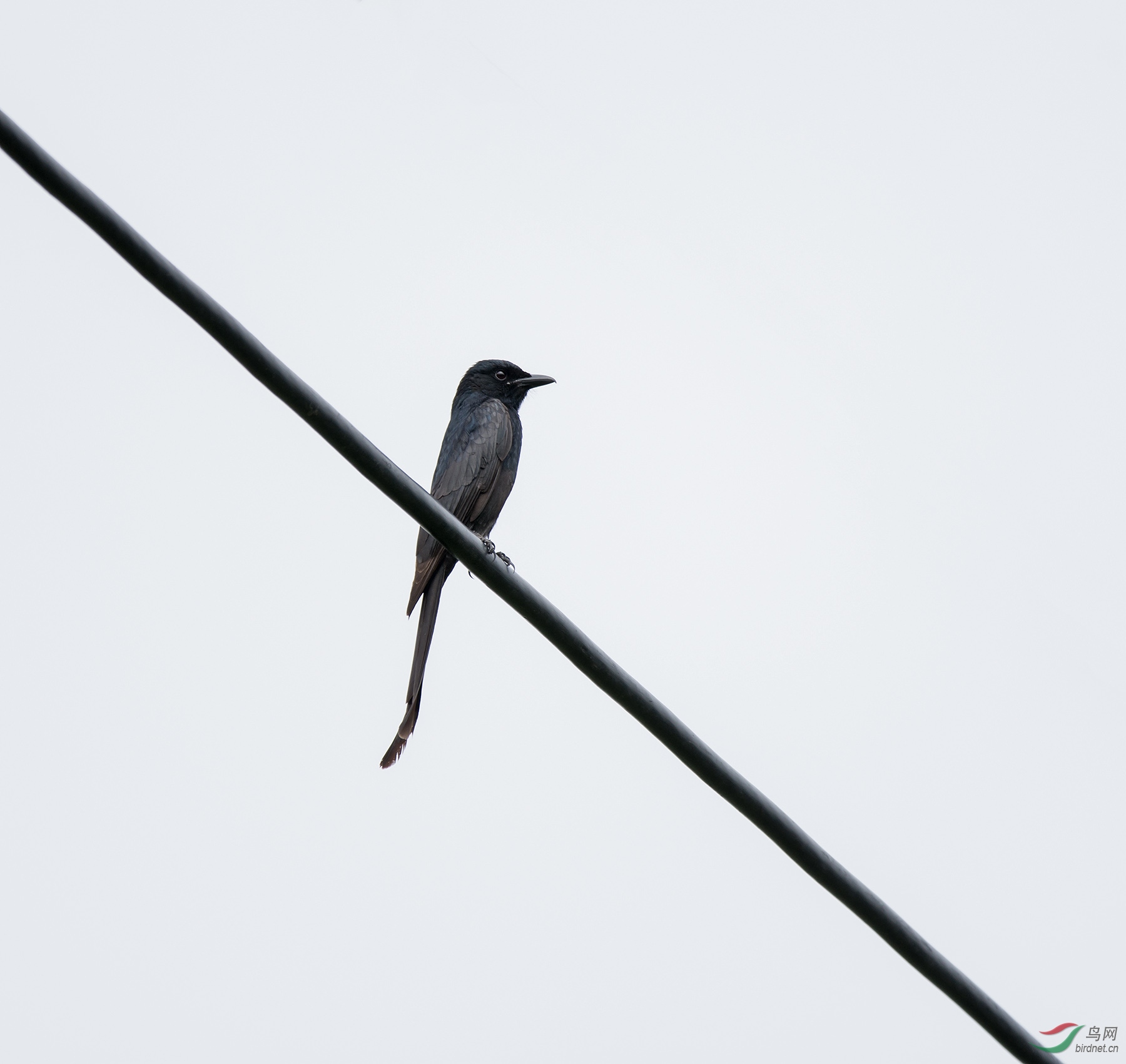 DSC_8070.jpg
