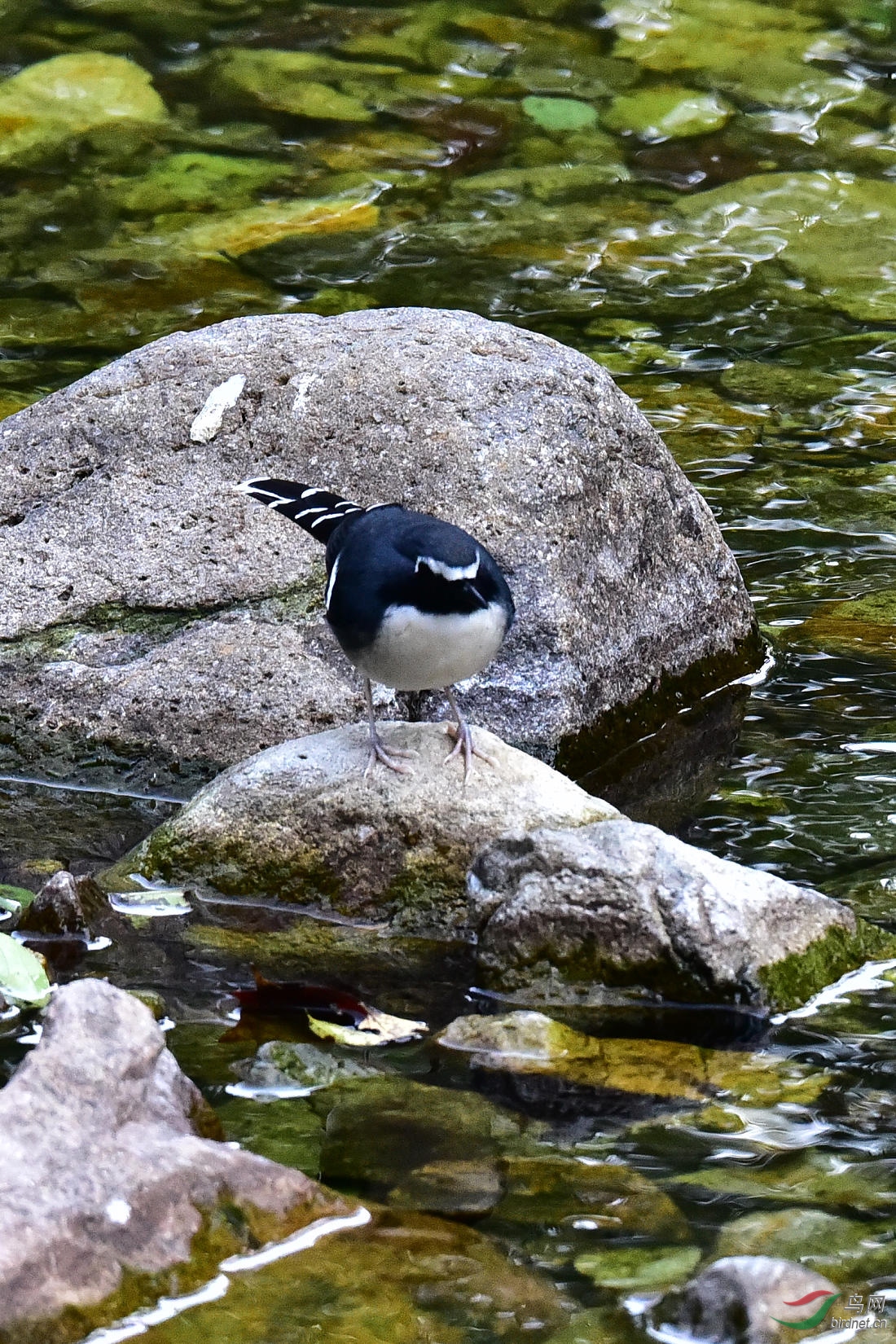 DSC_0377.JPG