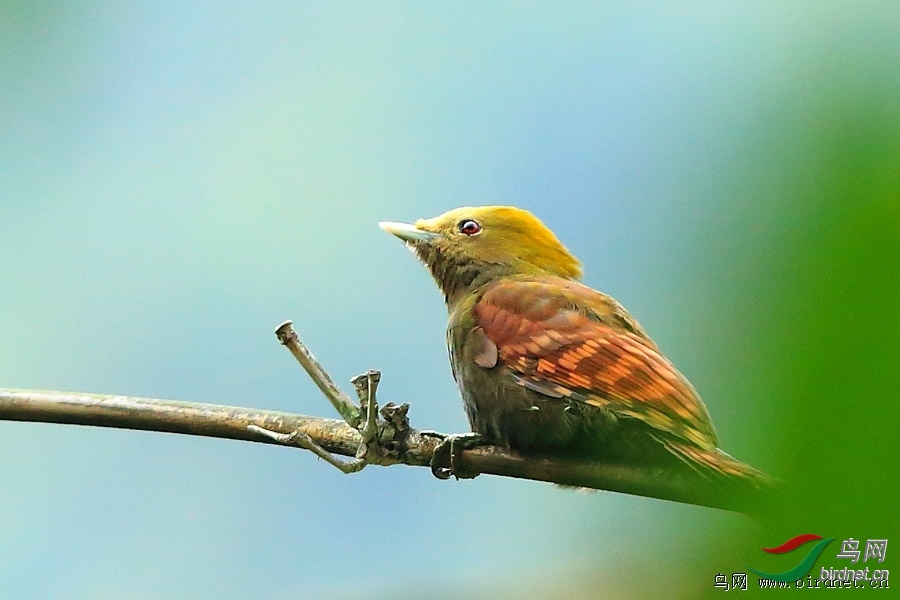 ���ã�һ�������� ��ʦ����������ʡ�º���徰����������.jpg