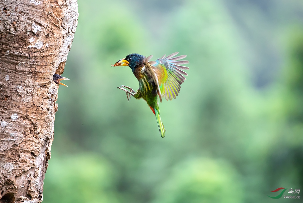 ��������ˣ�