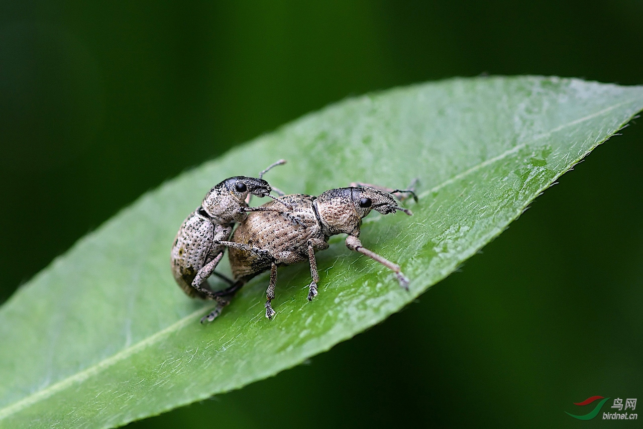 DSC_5890_00003.jpg
