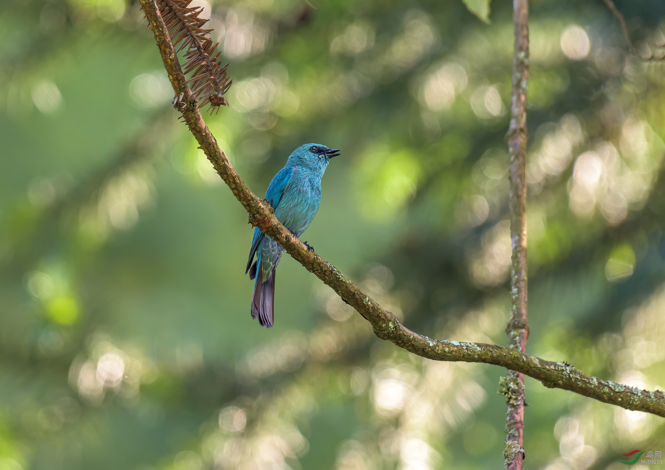 _DSC4881 ����2.jpg